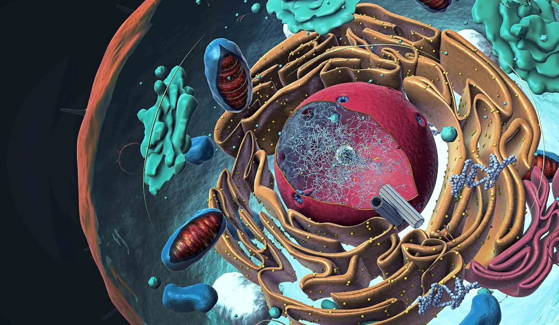 AI Powered Precision Medicine in Cancer Treatment