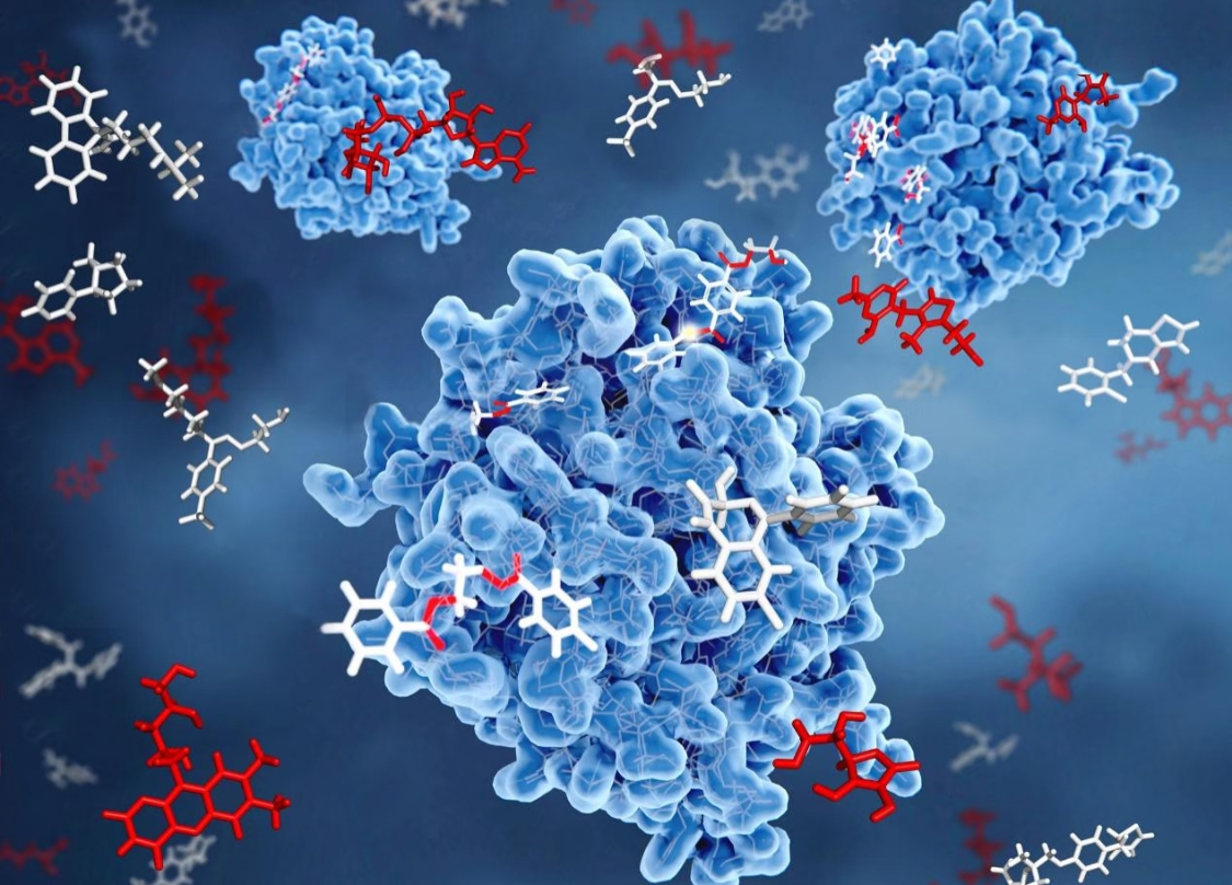 Digital Biomarker Validation